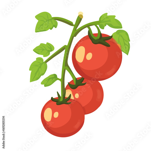 Tomato Vine, flat style 2D vector image, isolated on a white background