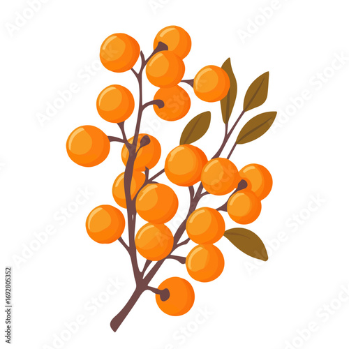 Minimal flat vector of a Sea Buckthorn, 2D icon-style illustration on white background