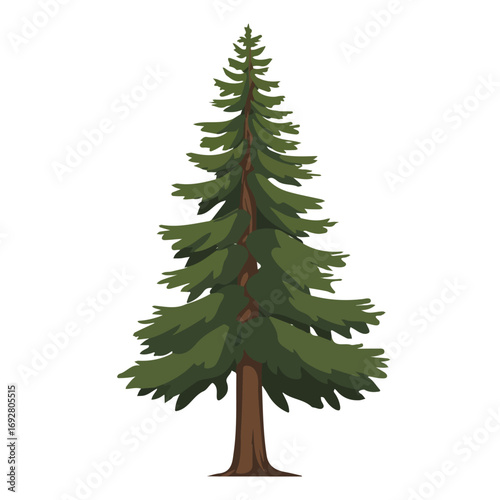 2D flat vector illustration of a Ponderosa Pine Tree in icon style, isolated on white background