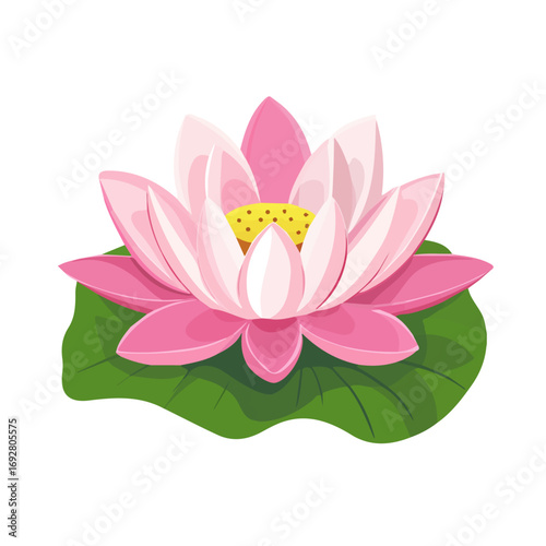 Lotus, flat style 2D vector image, isolated on a white background