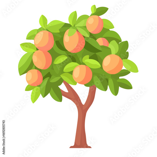 Flat 2D Peach Tree illustration, vector graphic in icon style, on white background