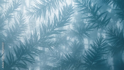 The shadows of the pine needles lay on the bluish white walls, the winter light