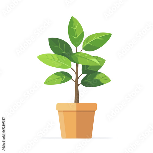 Flat 2D Ti Plant illustration, vector graphic in icon style, on white background