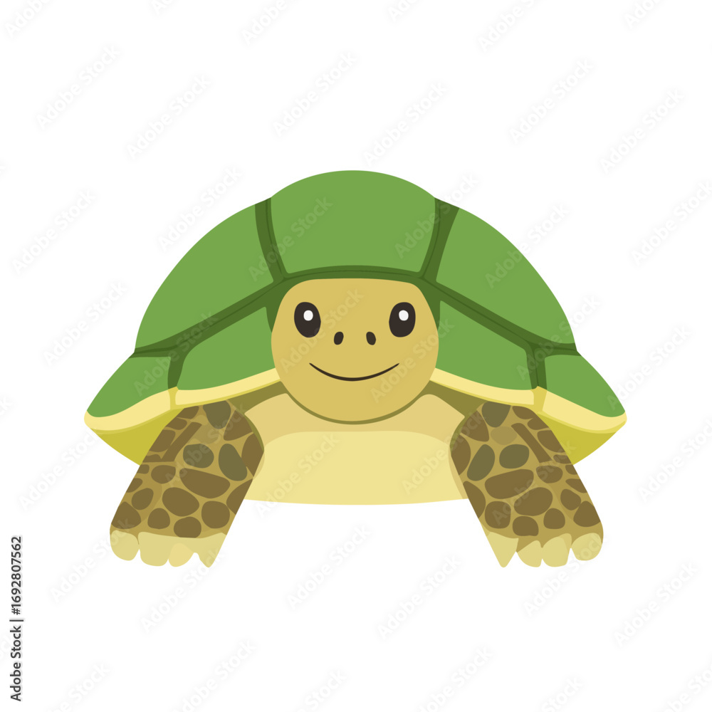 Obraz premium 2D flat vector illustration of a Tortoise in icon style, isolated on white background