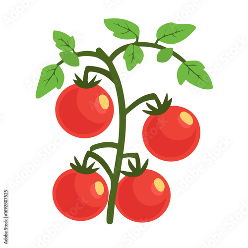 2D flat vector illustration of a Tomato Vine in icon style, isolated on white background
