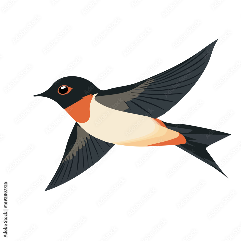 Obraz premium 2D flat vector illustration of a Swallow in icon style, isolated on white background