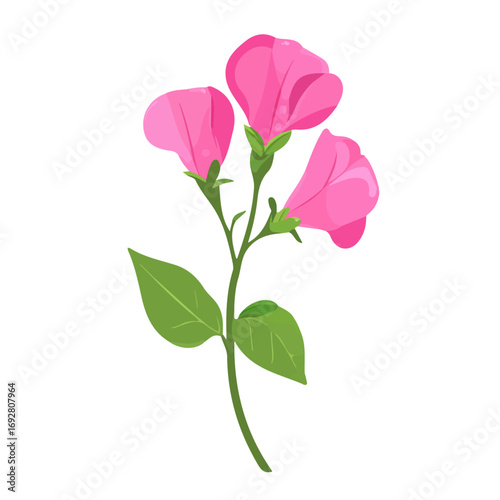 Minimal flat vector of a Sweet Pea Flower, 2D icon-style illustration on white background
