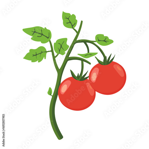 Minimal flat vector of a Tomato Vine, 2D icon-style illustration on white background