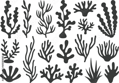 Silhouette Seaweed and Coral Collection, Underwater Marine Plants, Ocean Algae Elements for Decoration, Cut Files, and Design Projects