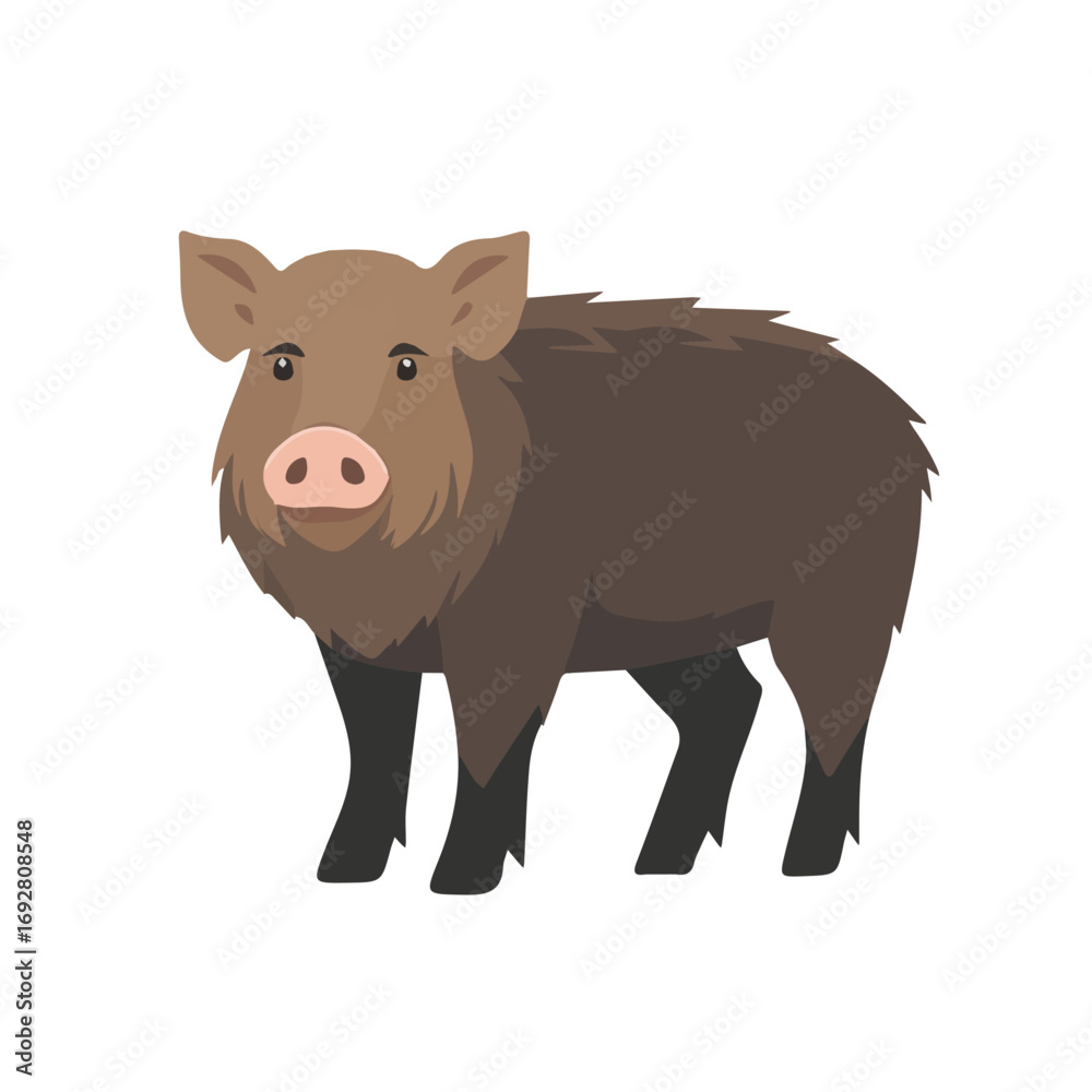 Fototapeta premium Flat 2D Wild Boar illustration, vector graphic in icon style, on white background