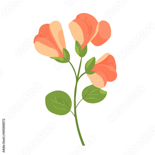 Minimal flat vector of a Sweet Pea Flower, 2D icon-style illustration on white background