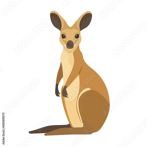 Minimal flat vector of a Wallaby, 2D icon-style illustration on white background