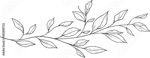 Elegant minimalist line art border featuring delicate vine leaves for decorative design