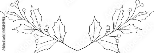 Minimalist line art border of holly leaves for holiday design and decoration