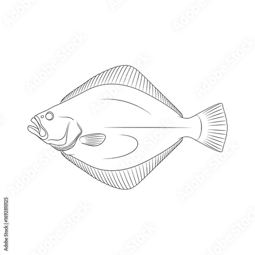 Simple flat halibut fish silhouette design