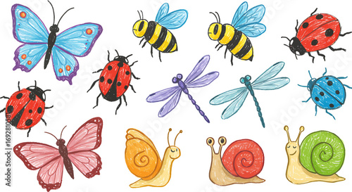 Colorful crayon-style drawings of various insects and invertebrates including butterflies, bees, ladybugs, dragonflies, and snails, arranged on a white background.