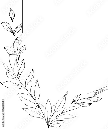 Minimalist line art border with spiral designs for elegant decoration