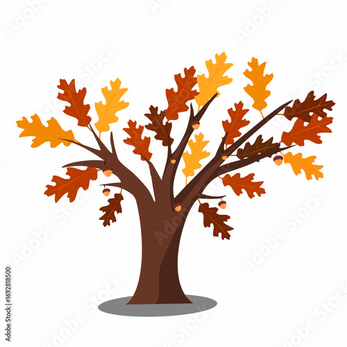 Oak Tree with Autumn Leaves and Acorns Illustration, for Fall Season