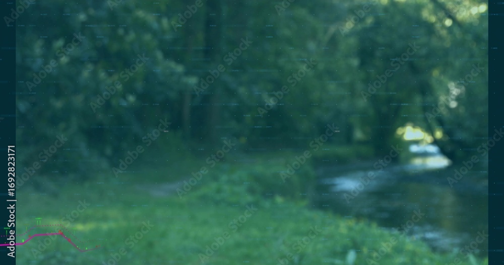 Fototapeta premium Shallow stream flowing in grassy forest clearing under canopy filtering light, copy space