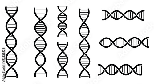 dna strands showing genetic information in biological cells