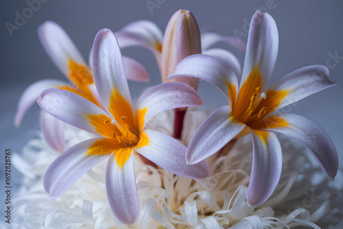 Elegant lilies grace mossy perch kissed by light ethereal floral portrait captures delicate beauty and natural harmony