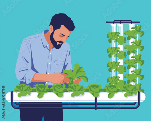 Modern Agriculture Man Harvesting Fresh Hydroponic Greens in Vertical Farm