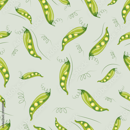 Peas seamless pattern on white background. Endless texture with green pod and pea for packaging, textile, wrapping paper. Fresh peas repeating background. Vector illustration