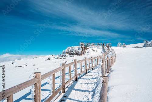 Snowy wooden walkway on Eorimok Trail, Hallasan, Jeju under bright sky