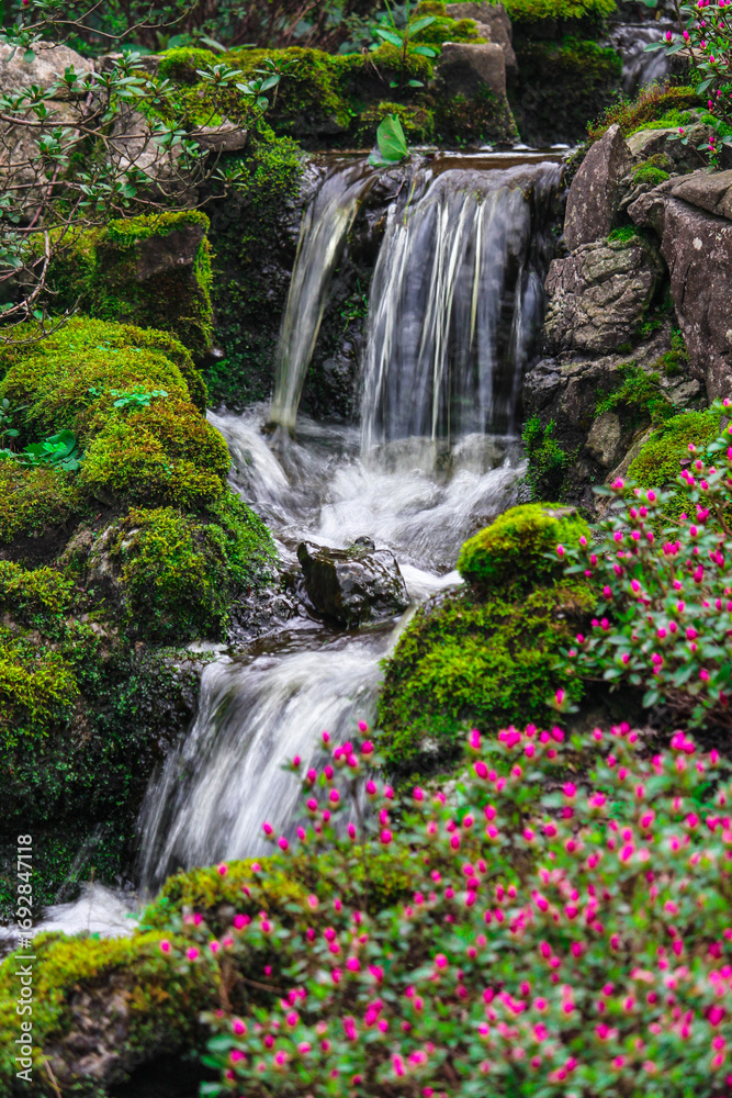 Fototapeta premium waterfall in the forest