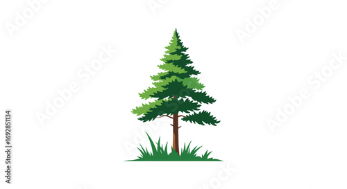 A tall evergreen tree stands proudly in a field of lush green grass on a white background