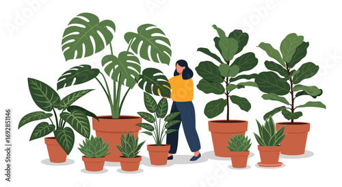 A person tending to a lush collection of indoor houseplants and various potted plants
