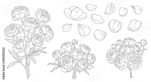 Beautiful hand drawn floral design elements for decorative purposes and artistic creations