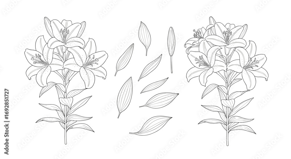 Fototapeta premium Botanical illustration of two lush branches with scattered leaves in a delicate sketch style