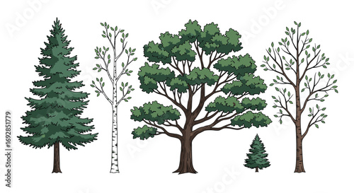 Diverse collection of trees representing different species and seasonal stages of growth