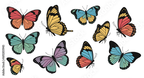Beautiful assortment of colorful winged insects fluttering gracefully in nature
