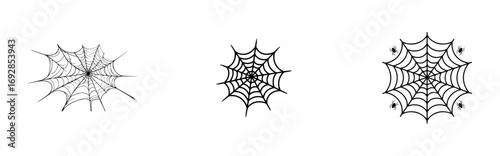 spiderweb vector collection halloween 