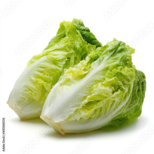 Fresh Romaine Lettuce Hearts on White Background