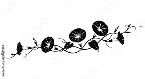 graceful vines with leaves and flowers in silhouette