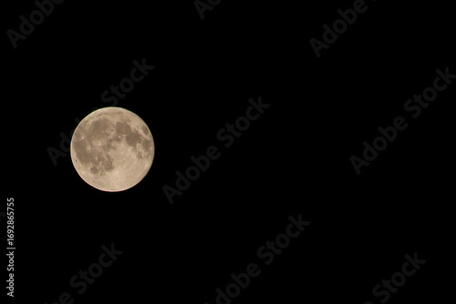 Wallpaper Mural full moon in the night sky, background. Torontodigital.ca
