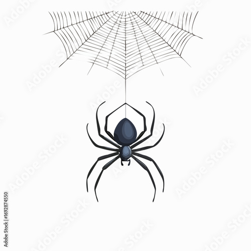 Realistic spider hanging on silk thread with web detail, conveying fear and gothic style.