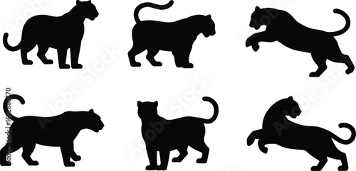Tiger silhouettes in different poses, wild animal vector illustration, standing tiger, walking tiger, jumping tiger, predator wildlife design, strong feline jungle art