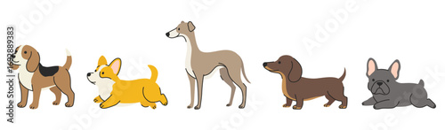A collection of cute dogs of different breeds, including a Beagle, Corgi, Greyhound, Dachshund, and French Bulldog