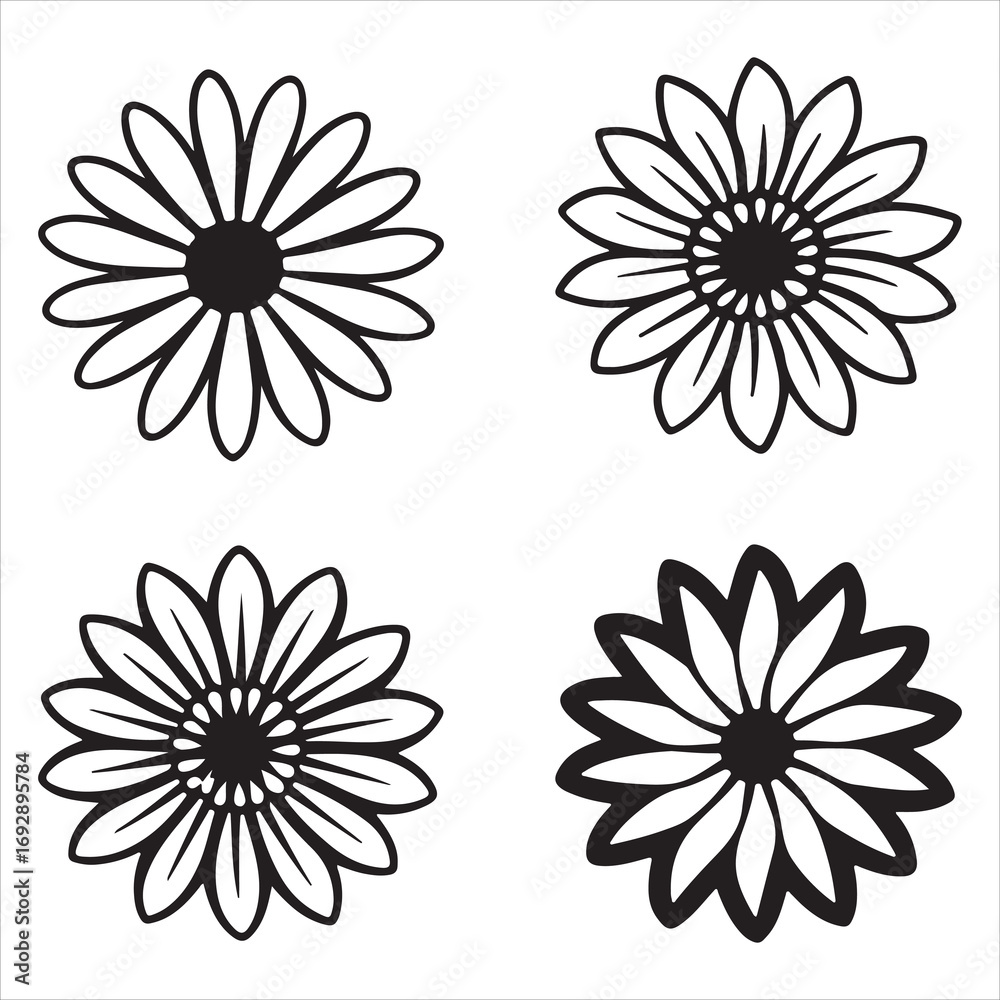 Fototapeta premium A Sunny Portrait of a Dimorphotheca Flower, an Elegant and Delicate Bloom with a Daisy-Like Shape, Perfect for a Garden or as a Cut Flower Arrangement