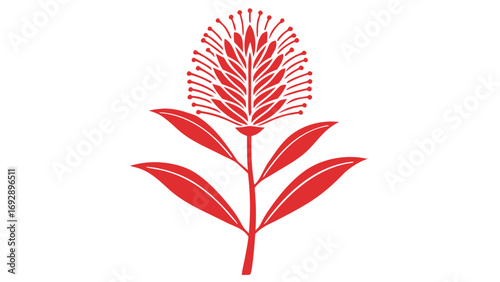 Red Bottlebrush Flower Flat Vector Gradient Illustration