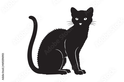 Silhouette of a black cat with bright eyes sitting upright