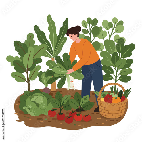 A person collects fresh organic leafy greens and ripe tomatoes from a vibrant home garden into a woven basket, depicted in a bright 2D flat vector illustration with clean, vibrant colors.