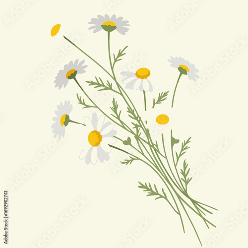 A bouquet of white daisies with yellow centers in a delicate, detailed illustration. A cluster of blossoms and stems against a pale background. Floral design for a nature theme.