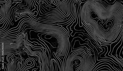 Abstract topographic map design.  Complex network of curved lines in varying thicknesses against a black background creates a sense of depth and undulating forms