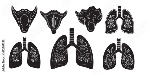 A collection of stylized black and white illustrations depicting human lungs and larynx, presented in a graphic, artistic style.