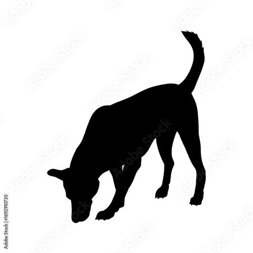 Shadowed Canine Curiosity: The silhouette of a sleek dog, consumed by curiosity, bends down, its form casting a stark shadow against the surface. This image, the essence of canine inquisitiveness.